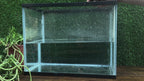 Premium Squid & Plum - Soluble Boilies 20mm