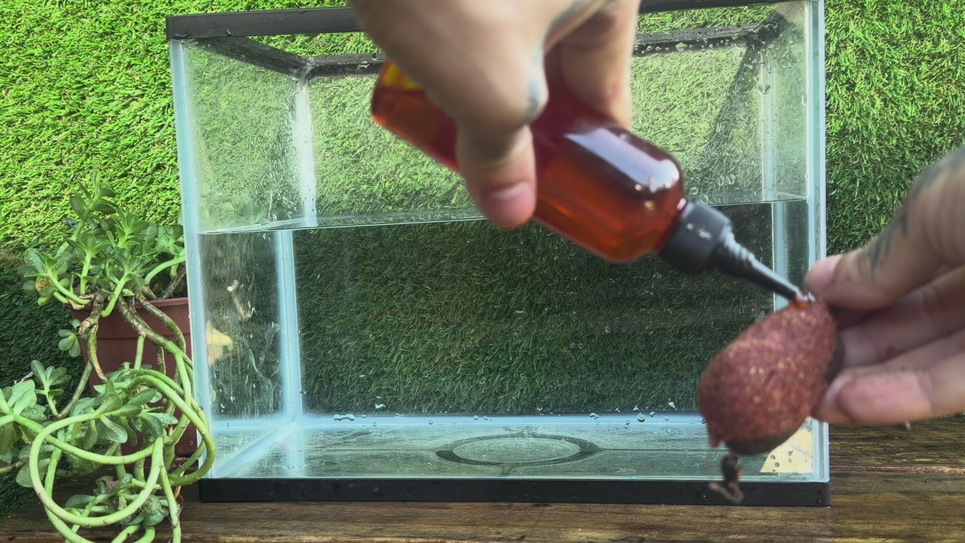 BaitX Red Krill - Groundbait
