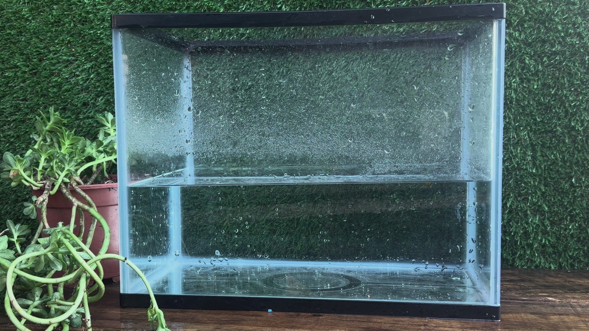 BaitX Scopex - Cloud Liquid